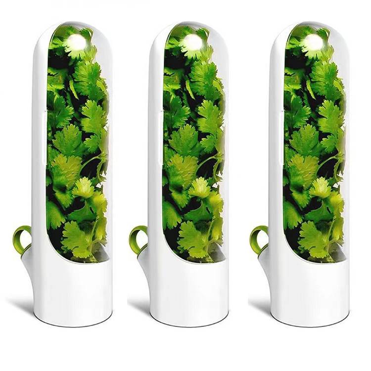 Bac de conservation de légumes et herbes