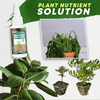 Solution nutritive végétale